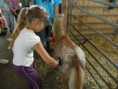 /album/farma-bitozeves/farma-bitozeves-39-jpg/
